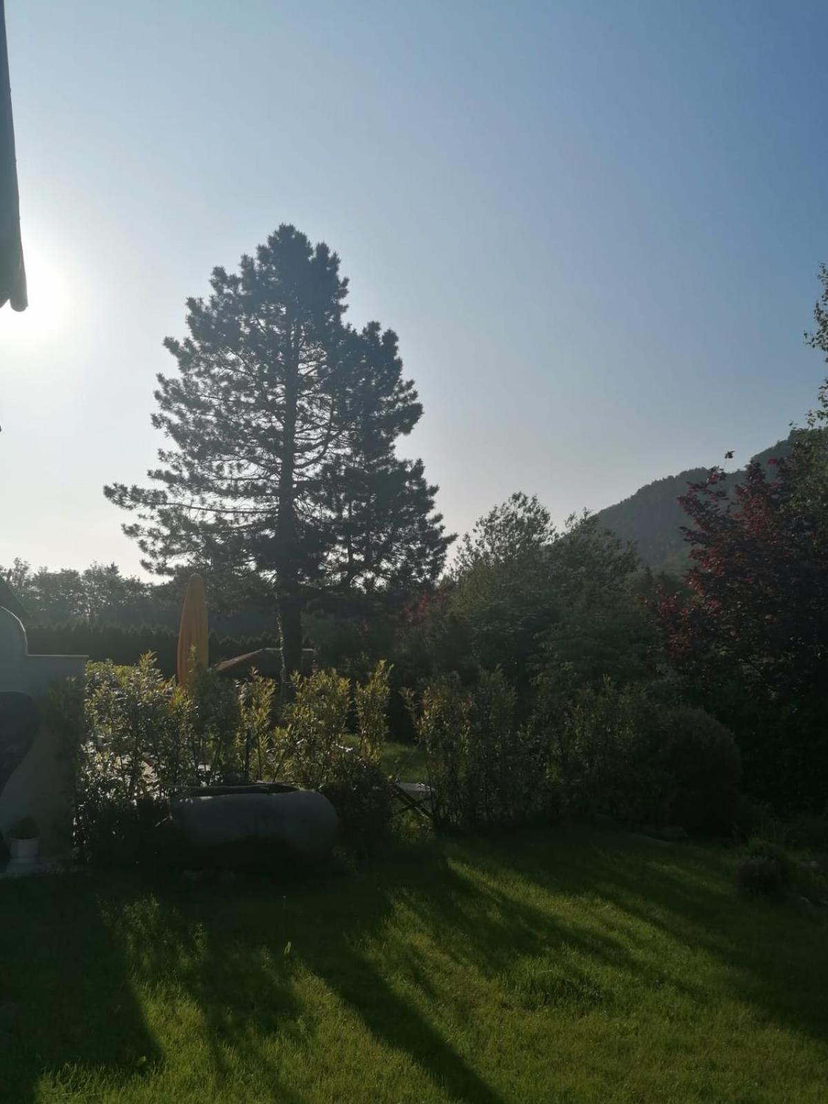 Appartment Nocksteinblick Guggenthal 외부 사진
